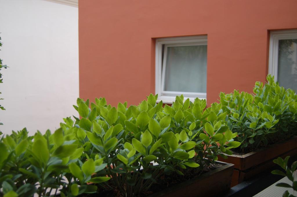 Buda Castle Apartments Будапеща Стая снимка